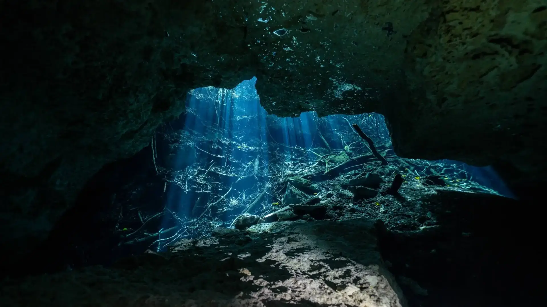 water-scape-of-a-cenote-taken-underwater